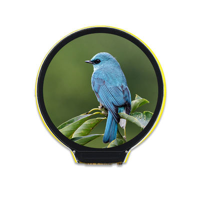 Un buon prezzo. Modulo a 1,28 pollici LVGL dello schermo di TFT LCD di risoluzione 240x240 senza tocco in linea