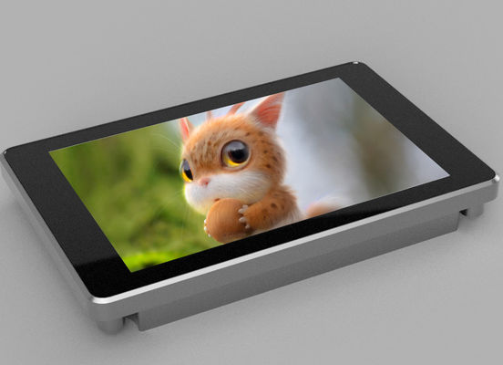 Schermo LCD TFT a colori 320 * 480 RGB 65K / Mcu dual core