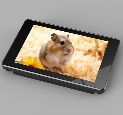 73.4*49.0 mm Area di visualizzazione efficace schermo LCD con colore RGB 65K